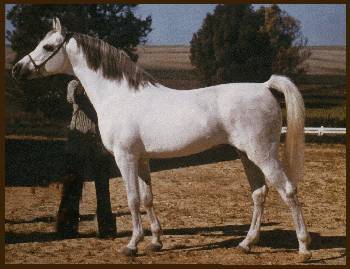 Jacio.jpg (19214 octets)