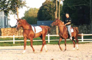 MozartSafar.jpg (20053 octets)