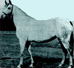 jalila1.jpg (46751 octets)