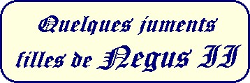 pagefillesneg.jpg (20471 octets)