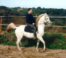 Maho Mont 1.jpg (25199 octets)