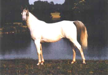 Farida001.jpg (11971 octets)