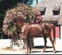 Bogdan089903.jpg (19348 octets)